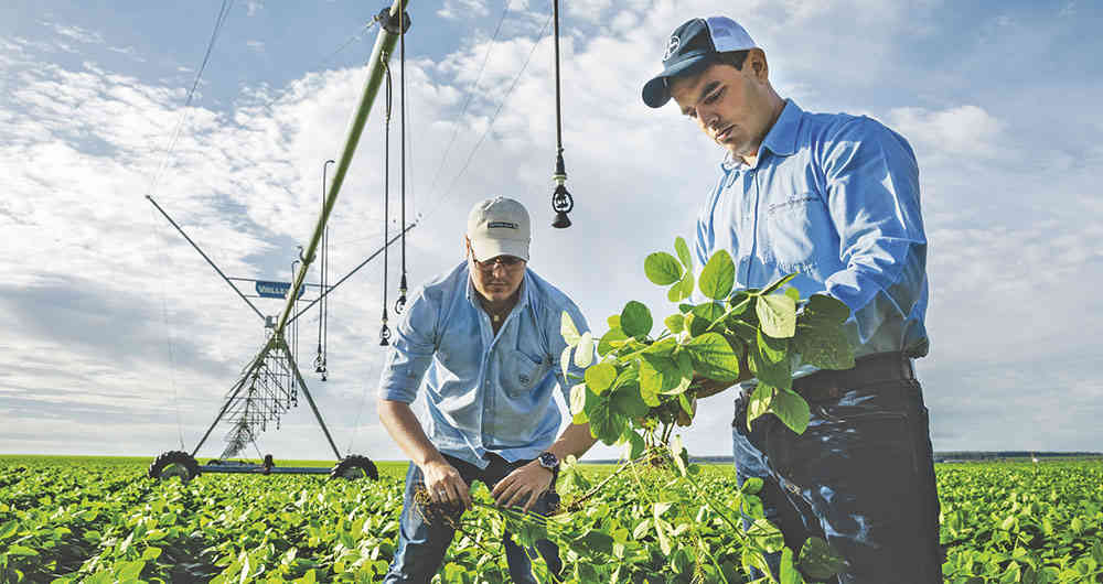 Las Tendencias Que Dominarán La Agricultura En El Futuro